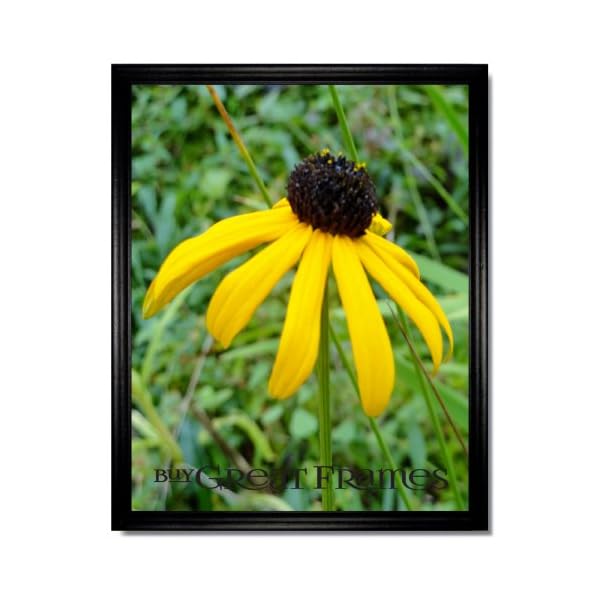 Set of 3 Simple 11×14 Black Wood Frames, Glass Classic Poster Collector