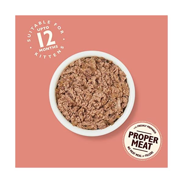 Lilys-Kitchen-Smooth-Pate-for-Kitten-Chicken-Beef-19-x-85-g Lily's Kitchen Smooth Pate for Kitten, Chicken with Beef ,19 x 85 g
