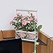OKOMATCH Office Cubicle Corner Shelf Rack Desk Sundries Organizer/Balcony Corner Plant Caddy (Black,Iron Wire,1Pcs/Pack)