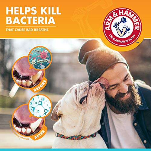 Arm & Hammer for Pets Dental Enzymatic Toothpaste for Dogs No More