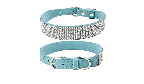 fall dog collars amazon