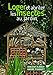 Loger et abriter les insectes au jardin by 