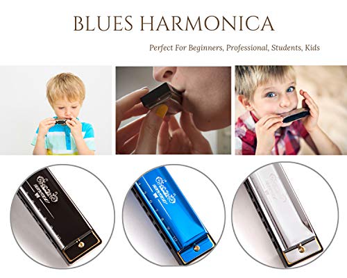 4 Harmonica+Standard+Diatonic+Beginners+Professional