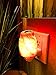 Dream Salts Himalayan Salt Night Light / Scented Oil And Fragrance Wax Warmer Burner / Aroma Therapy / Natural Hand Carved Plugin Lamp (1 Pack, Natural)