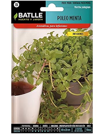 Semillas Aromáticas - Poleo Menta - Batlle: Amazon.es: Jardín