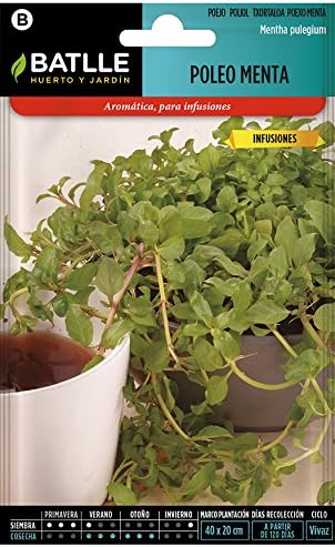 Semillas Aromáticas - Poleo Menta - Batlle: Amazon.es: Jardín
