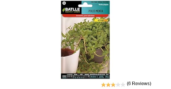 Semillas Aromáticas - Poleo Menta - Batlle: Amazon.es: Jardín