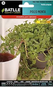 Semillas Aromáticas - Poleo Menta - Batlle: Amazon.es: Jardín