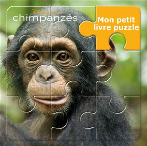 Chimpanzés