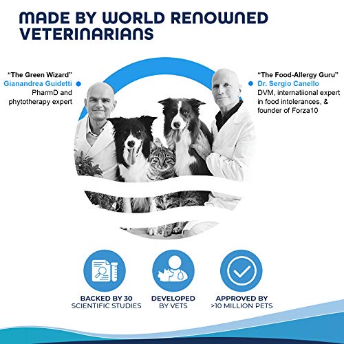 Forza10 Active Intestinal Dry Dog Food Digestive Health, Gluten Free