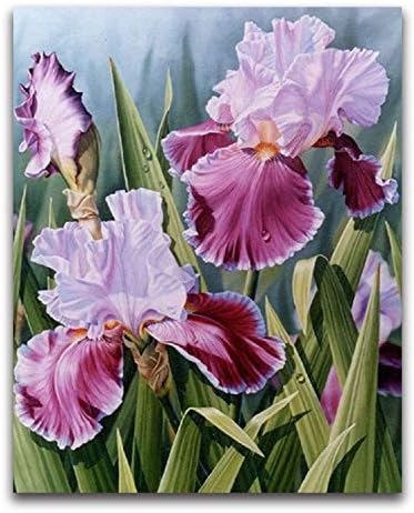5D DIY Diamond Painting Cross Stitch Iris Flower Full Round Diamond Embroidery Needlework Rhinestone Diamond Mosaic Home Decor,25x30cm