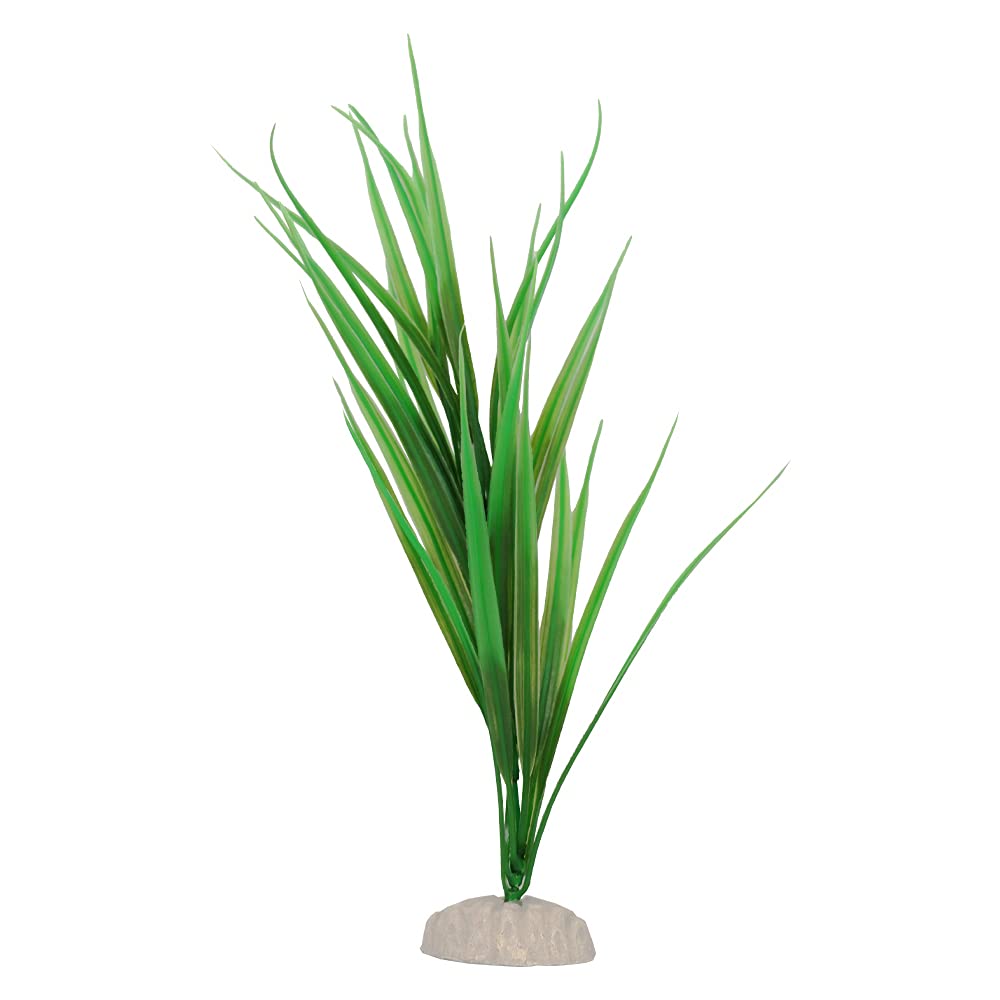 Wave Bamboo Plant Classic, Large