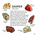 Rock and Mineral Collection 10 piece Mix #1, in Special Box with 27 page Rock Identification Book and Educational ID card, includes Shark Teeth, cut Geode, Red Tiger Eye and more!