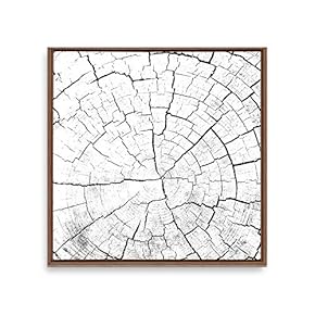 Framed Canvas Wall Art Annual Trajectory Canvas Prints Home Artwork Decoration for Living Room,Bedroom - 16x16 inches