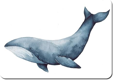 Amazon バスマット 玄関マット 足ふきマット 水彩イラストシロナガスクジラ 滑り止め ソフトタッチ 丸洗い 洗濯 台所 脱衣場 キッチン 玄関やわらかマット 40 X 60cm 床保護マット チェアマット オンライン通販