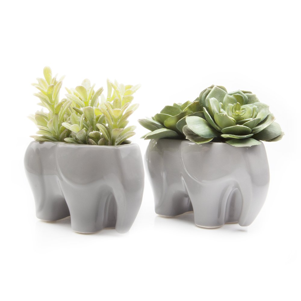 Buy Chive Animal Shaped Pots — Cute, Beautiful Pots for Flowers & House
