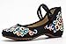 AvaCostume Women's Chinese Embroidery Casual Mary Jane Travel Walking Shoes Black 38