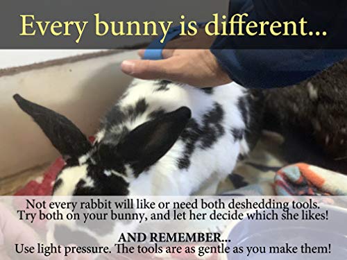 2 Rabbit+Grooming+Brush+Remover+Guinea