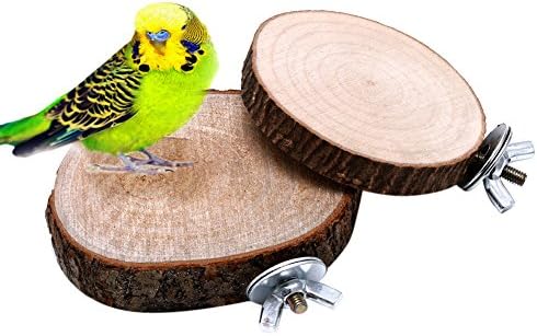 Bird toy, dairy shop pet bird parrot, buy toy, wooden hanging swing birdcage, parakeet cockatiel cages