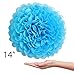 VIDAL CRAFTS Set of 20 Pieces Party Tissue Paper Pom Poms (14