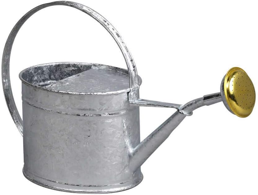 GUILLOUARD 80320 Watering Can Neutral Grey, 1.75 L