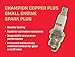 Champion Copper Plus Small Engine 872 (RDJ7Y) Pack of 1 (UPC 037551000913)