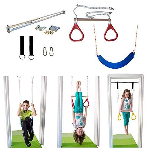 Indoor Swing by DreamGYM Trapeze Bar & Gymnastic Rings