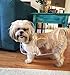 Topsung Waterproof Puppy Raincoat Blue Transparent Pet Rainwear Clothes for Small Dogs/Cats, Size M