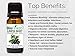 BioFinest Juniper Berry Oil - 100% Pure Juniper Berry Essential Oil - Premium Organic - Therapeutic Grade - Best For Aromatherapy - Boost Immune System - FREE E-Book (10ml)