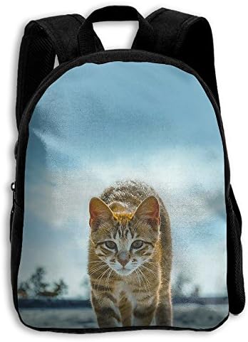 Boys Cats Like A Tiger Popular Printing Toddler Pre School Backpack Bags Lightweight