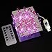 WSgift Pink Flamingo String Lights, 18.7 Ft 40 LED USB Plug-in Copper Wire Flamingo Fairy LED Lights for Various Decoration Projects (Warm White, Remote Control with Timer)