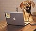 (20 Pack) Funny Internet Memes and Celebrity Vinyl Sticker Pack Stickers for Laptop, iPhone, Water Bottles, Computer, and Hydro Flask by The Carefree Bee