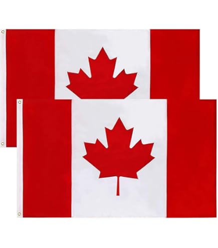 Bandiera Saskatchewan 150x90 Cm - Bandiera Canadese In Poliestere 100D, Occhielli Metallici, Per Interno/Esterno - 4