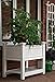 Cambridge 36
