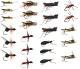 Terrestrial Trout Fly Fishing Flies Collection: 23 Flies + Fly Box