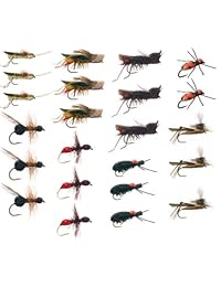 Terrestre trucha Pesca con Mosca Moscas Collection: 23 Moscas + Fly Box