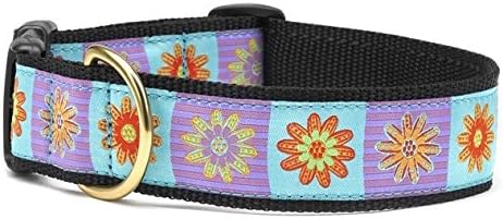 Up country dog collars amazon Clearance