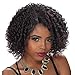 AISI QUEENS Kinky Curly Wig for Black Women Black Mixed Red Color Side Part Short Afro Synthetic Heat Resistant Fiber Daily Part Wigs(1b/bug)