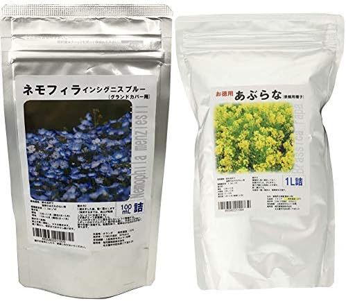 ネモフィラ種子 景観用インシグニス ブルー 100ml詰 セット買い 1l詰 あぶらな種子お徳用 Salenew大人気
