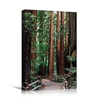 Canvas Wall Art Green Forest Dramatic Forest Landscape Living Room Multicolor Photography Rustic - 12x18 inches
