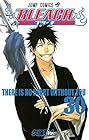 BLEACH -ブリーチ- 第30巻