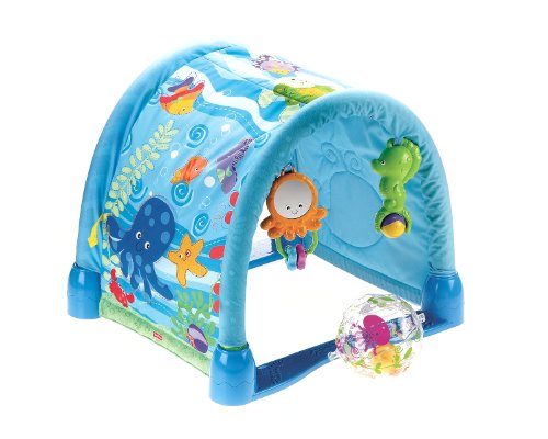 fisher price babygym 3 in 1