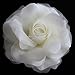 Sara Monica Flower Hair Clip and Pin: Snow Rose: Made in the USA (Ivory)