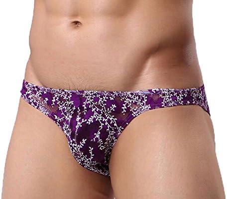 Dou7ble Li Men's Sexy Transparent Gauze Lace Underwear Briefs (L, Purple)