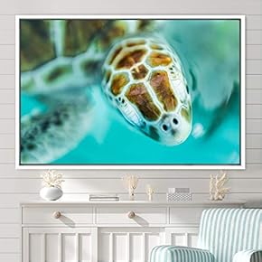signwin Framed Canvas Wall Art Sea Turtle Colorful...