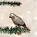 Old World Christmas African Grey Parrot Glass Blown Ornament