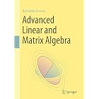 Advanced Linear and Matrix Algebra (Mathematics and Statistics)