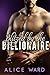 Blitzed by the Billionaire