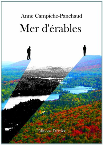Mer d'érables: [roman]