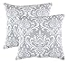 TreeWool Damask Accent Spring Summer 22x22 Set of 2 Decorative Throw Pillow Covers 100% Cotton Home Decor Pillowcases for Sofa Couch (Silver Gray)